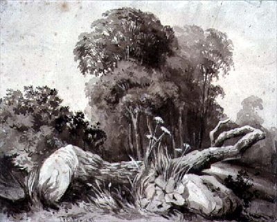 A Felled Tree by Thomas Collier